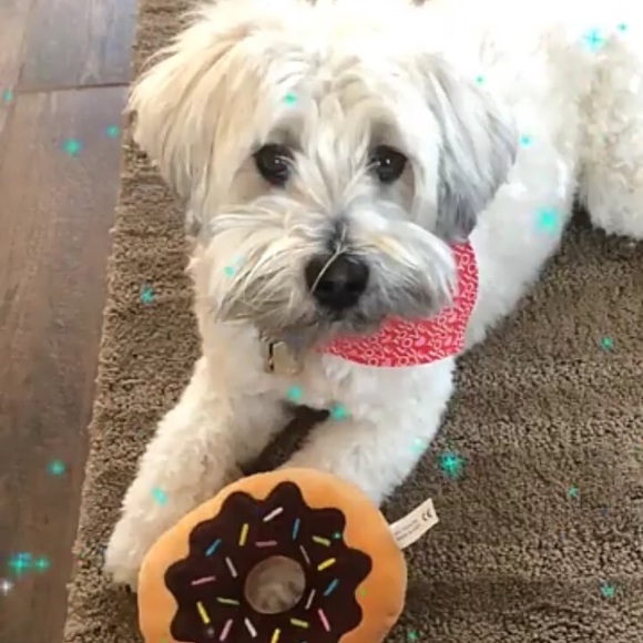 Meet your Posher, Rachel - Picture 1 of 1